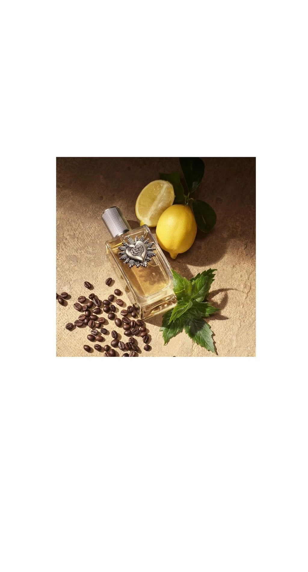 Dolce & Gabbana Devotion Pour Homme | Eau de Parfum 100mL